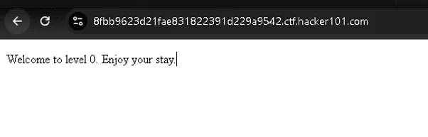 Hacker101 CTF | A Little Something to Get You Started