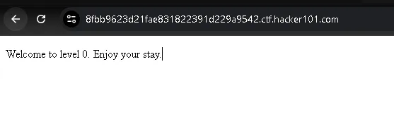 Hacker101 CTF | A Little Something to Get You Started