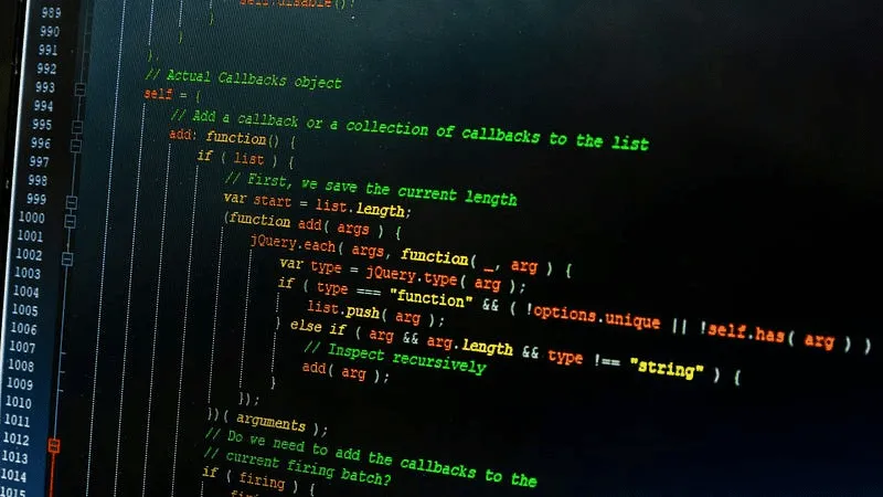 Enhancing Protection with Input Validation and Sanitization